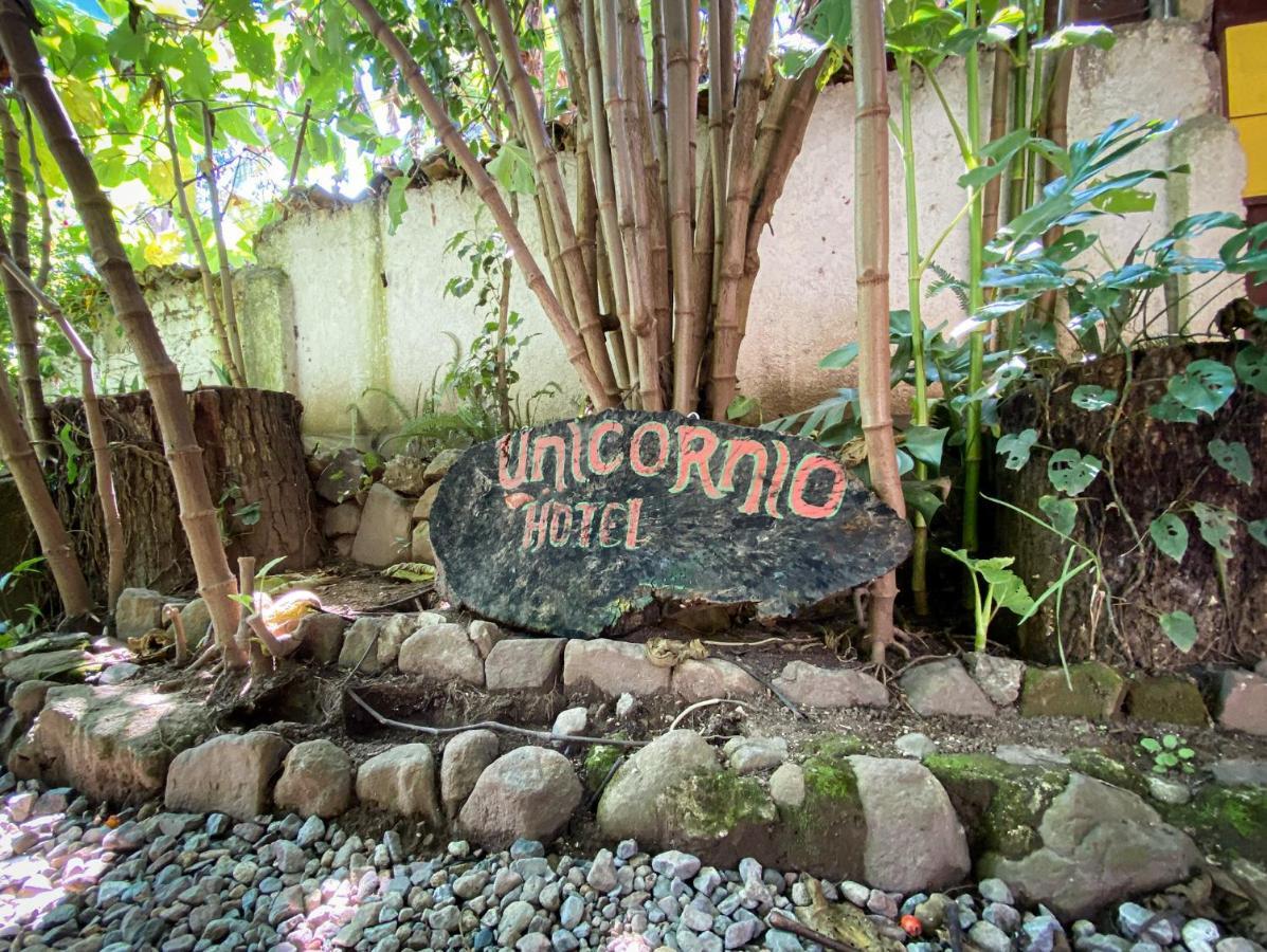 Unicorn Reborn - Peaceful Rentals San Marcos La Laguna Luaran gambar