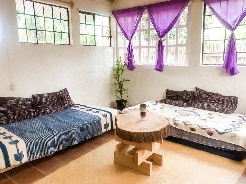 Unicorn Reborn - Peaceful Rentals San Marcos La Laguna Luaran gambar